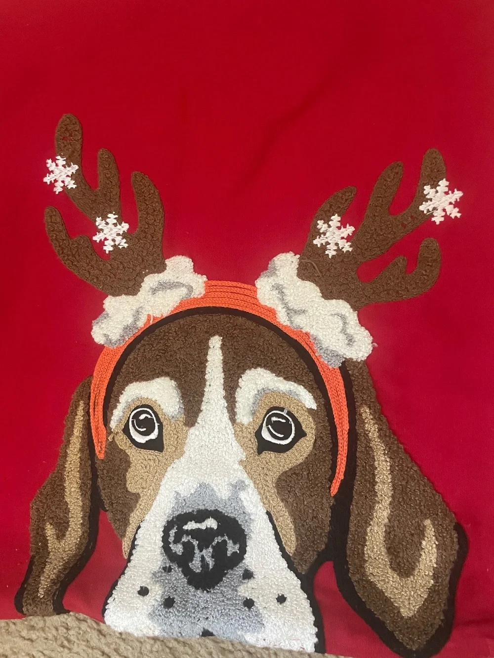 Christmas Dog Pillow Cover Chenille Loop Embroidery
